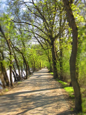 [RH] Sekolah Gereja atau Sekolah Luar?