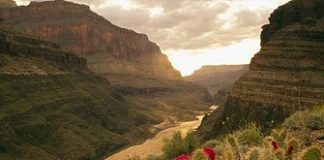 wisata-alam-grand-canyon-colorado1 Copy