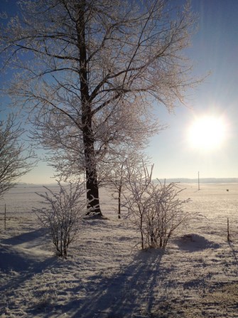[RH] Pelayan yang Ditunjuk Allah