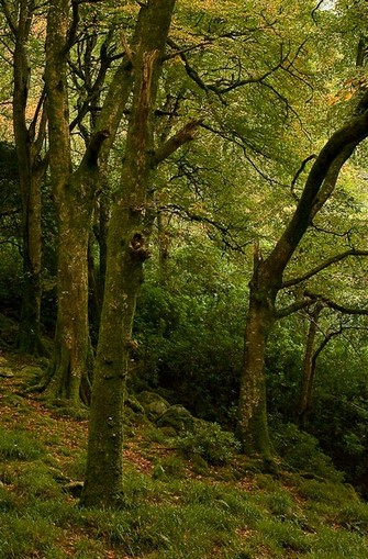 [RH] Kesukaran Besar akan Terjadi