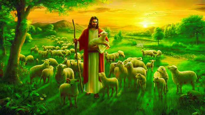 Kristus, Domba Paskah Sejati, Disembelih karena Dosa-Dosa Anda.