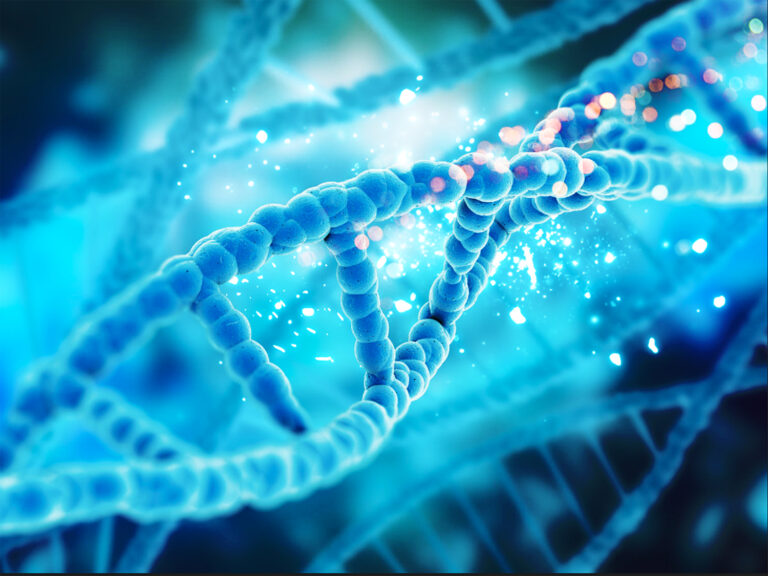 Sel “Abadi” Henrietta Lack